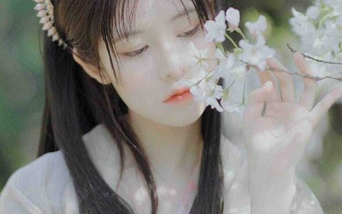 震惊！嬴政单抽出sss十年寿命