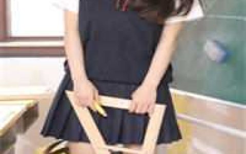 四合院：收拾众禽，淮茹心慌