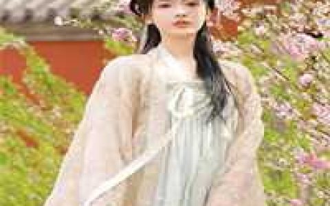 重生后嫡女护全家