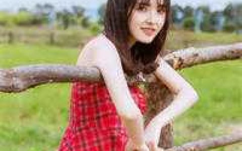 掠爱甜婚：太子强娶她入东宫