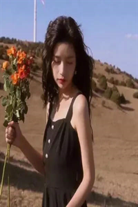 倾城女神爱上我全集阅读
