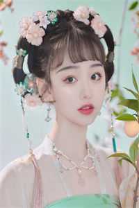 青云美人图畅销巨作
