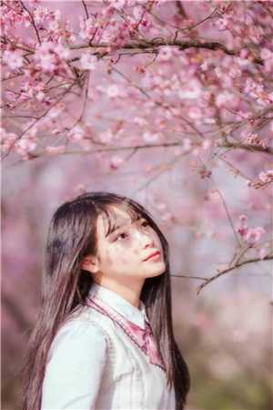 我夫权倾朝野，我娘宠冠后宫精品小说