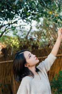 恶毒女配翻身，甜宠霸总老公！全本小说