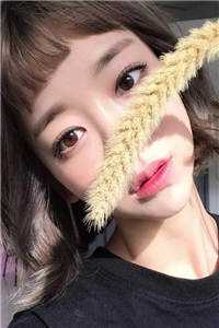 新任官途王之枫在线阅读小说观看全文