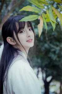 谢停舟沈妤小说名字