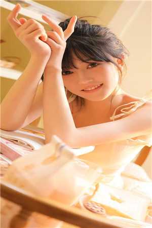 短篇小说官婿美人香