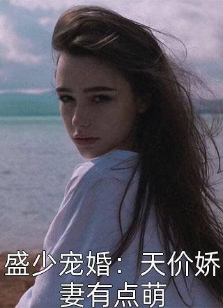 有我无敌新书