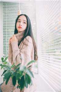 夕月不知向南意:结局+番外+完结