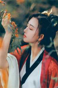春去春来春不归后续+番外