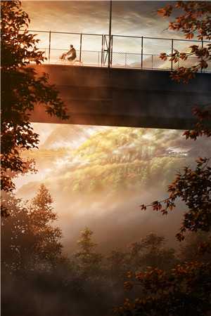 倔强百合的反抗：逃离强制爱后续+全文
