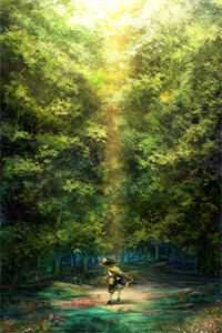 爱如繁花，终是镜中水月叶朗清傅恬恬结局+番外